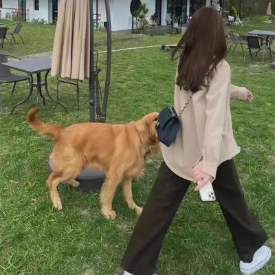 恐惧之屋